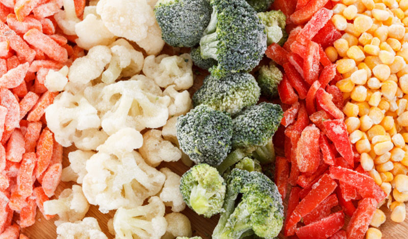 غذای منجمد پرندگان