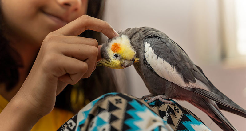 برای کودکان