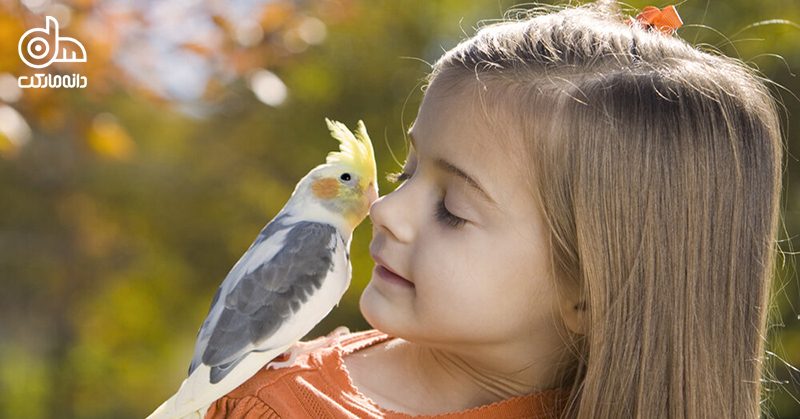 پرنده خانگی برای کودکان